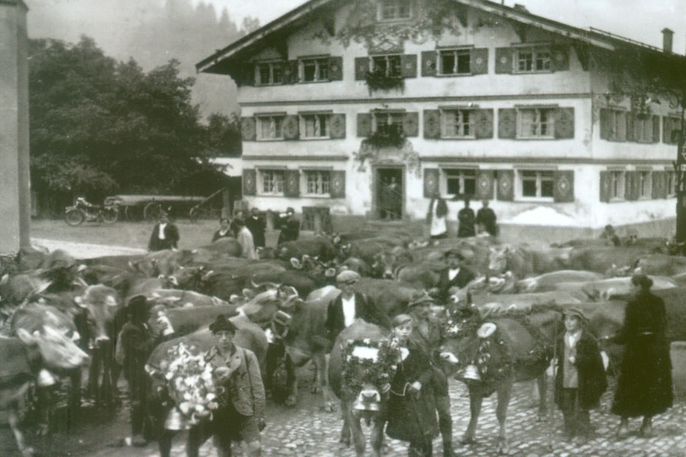 Viehscheid Oberstaufen in Steibis