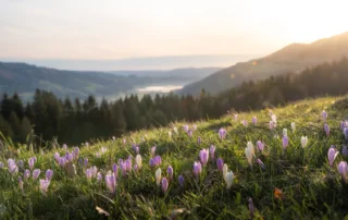 Frühling Kurzurlaub Allgäu