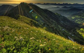 Berglandschaft in den Alpen, mit blühenden Wiesen und Sonnenstrahlen, ideal für Naturfreunde und Wanderurlaub.