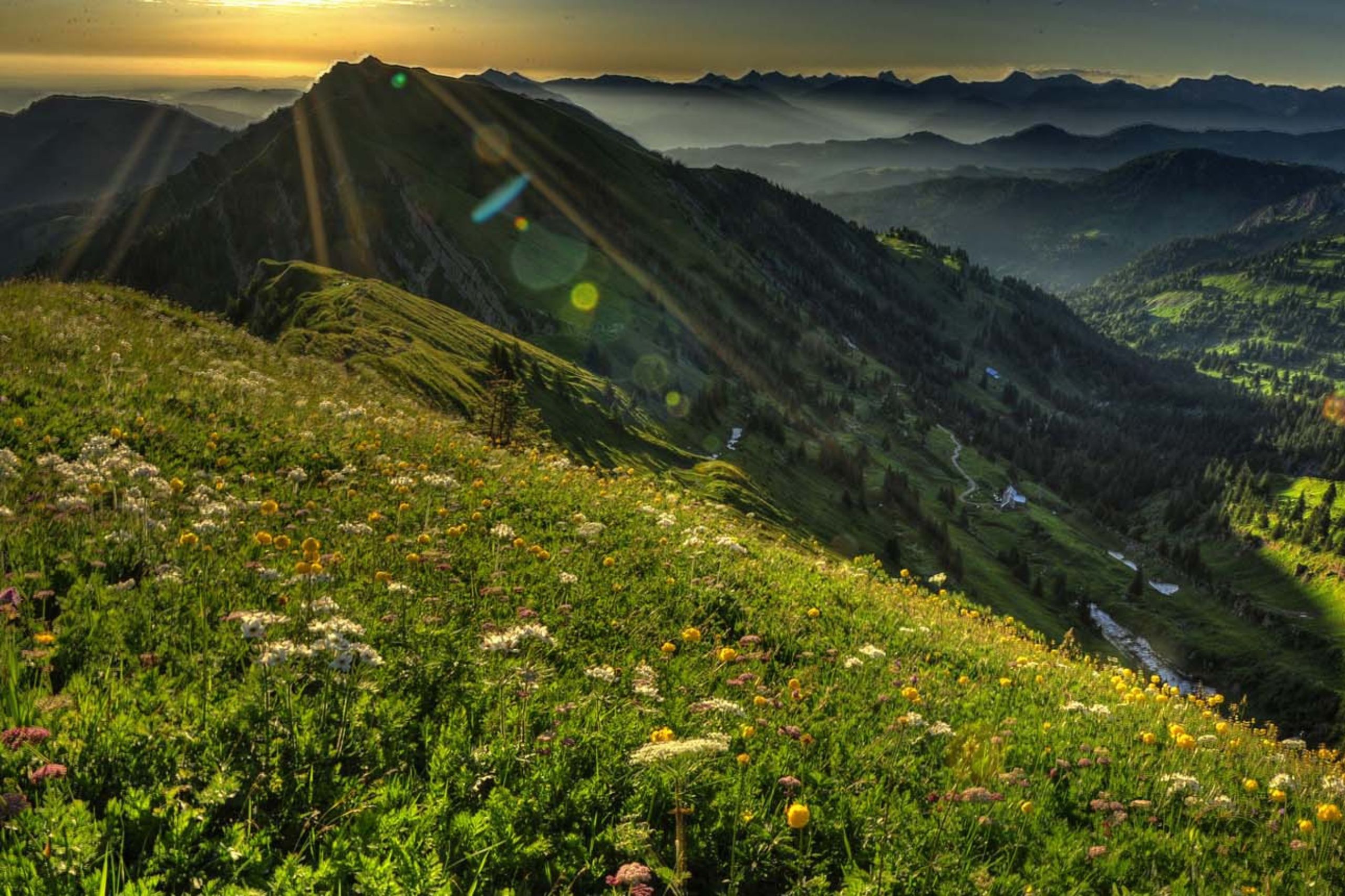 Berglandschaft in den Alpen, mit blühenden Wiesen und Sonnenstrahlen, ideal für Naturfreunde und Wanderurlaub.
