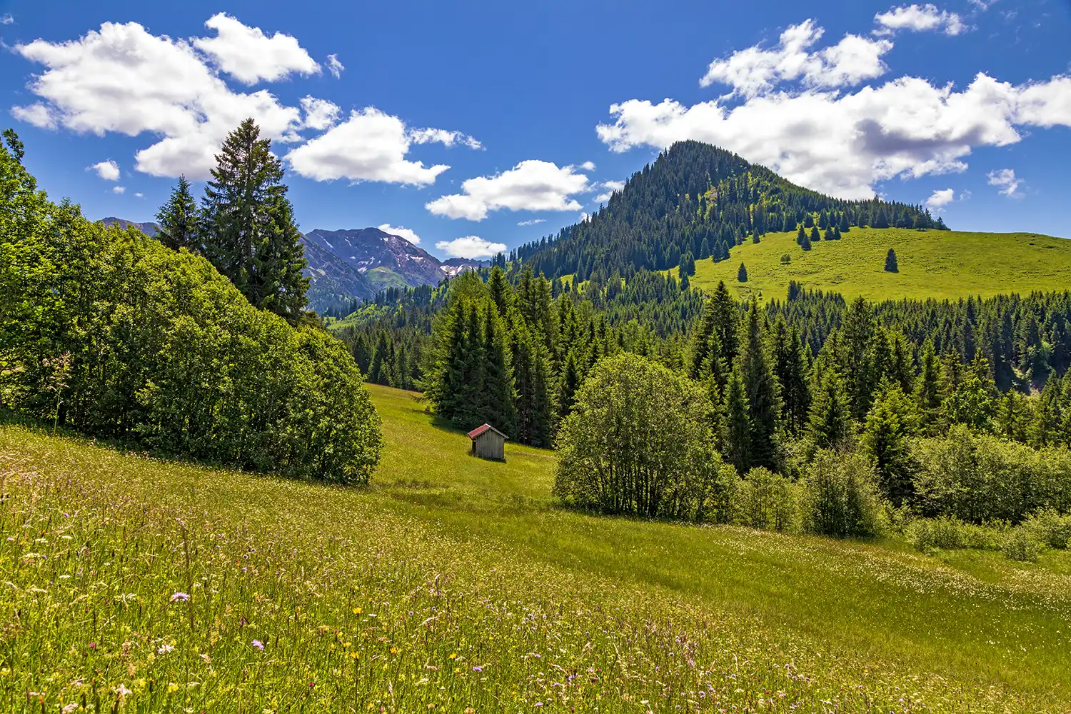 Wanderurlaub Oberstaufen